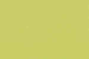 Линолеум Forbo Furniture Linoleum 4182 spring green фото  | FLOORDEALER